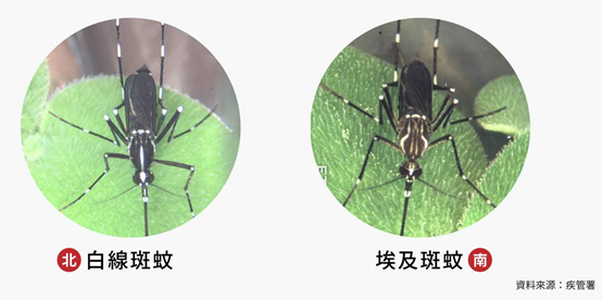 病媒蚊