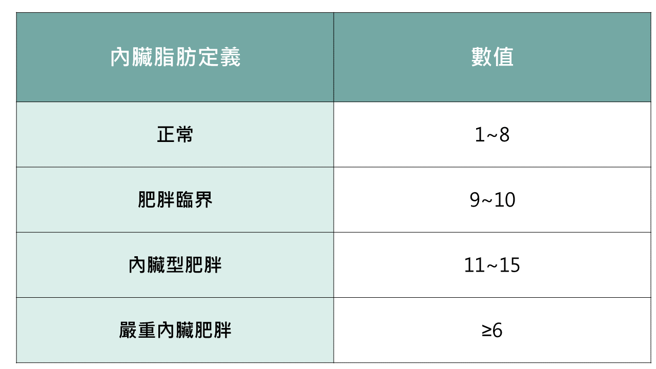 脂肪肝,內臟脂肪,體脂肪率