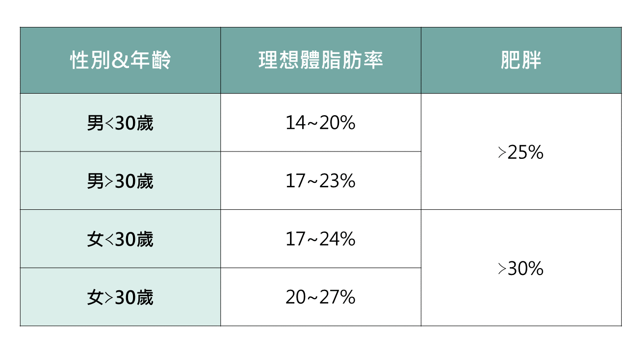 脂肪肝,內臟脂肪,體脂肪率